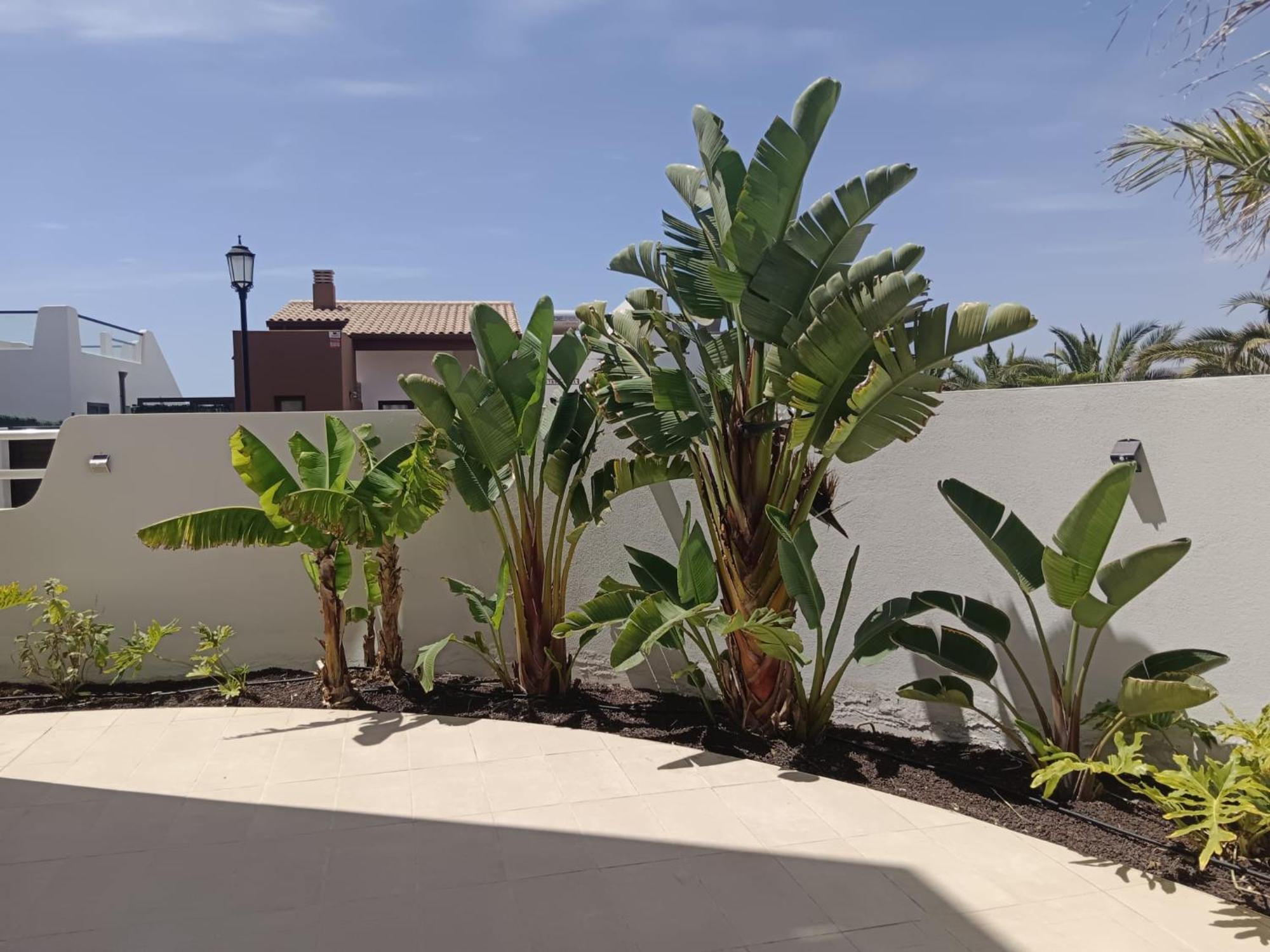 Homeforguest Flat With Large Terrace In Modern Residential Complex With Swimming Pool Caleta De Fuste Dış mekan fotoğraf